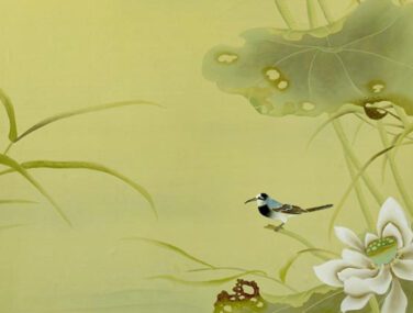 Water Lilies 1