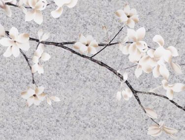 White Magnolia 1