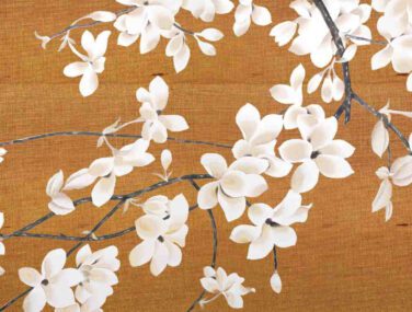 White Magnolia 2