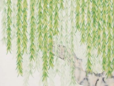 Willow 1