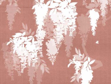 Wisteria 3