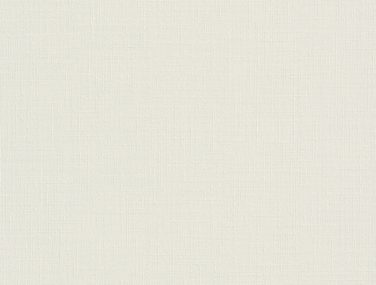 Wall Textures V 442793