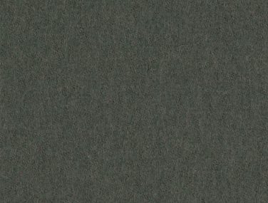 Focus 60212