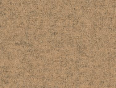 Focus Melange 61239