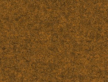 Focus Melange 62118