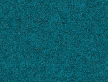 Focus Melange 66221