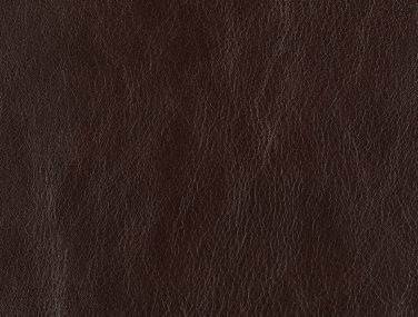 BRITANNIA HAZEL