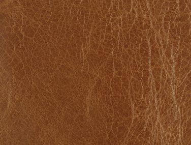 BRITANNIA TAN