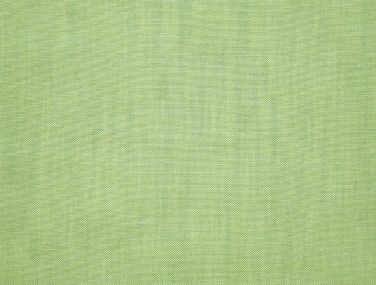 Mint 5822