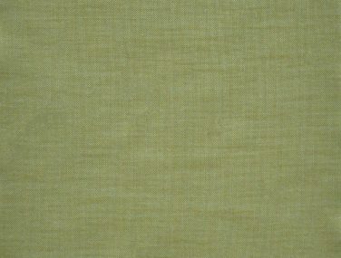 Mint 6024