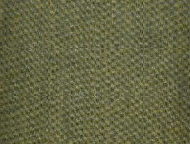 Mint 6054