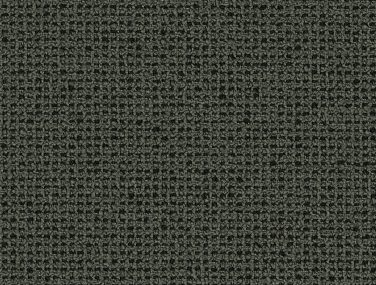 Grain 60323