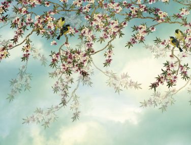 8 213 Sakura ma