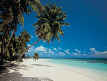 8 240 Maldives ma