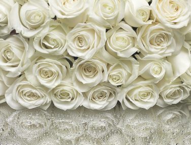 8 314 A la Rose ma