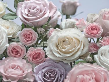 8 736 Floraison ma