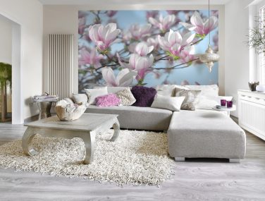 8 738 interieur
