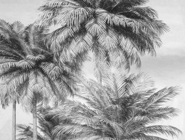 X4 1019 Cocco WEB