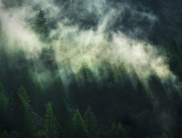 X7 1003 Misty Crowns WEB