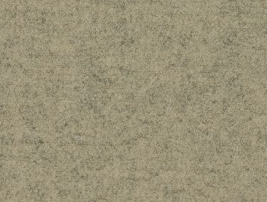 Focus Melange Screen 61440