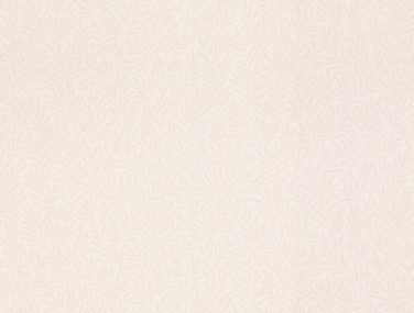 252965 530 0