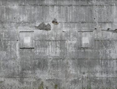 Magic Walls 445503