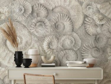 Ammonite 4 scaled 2