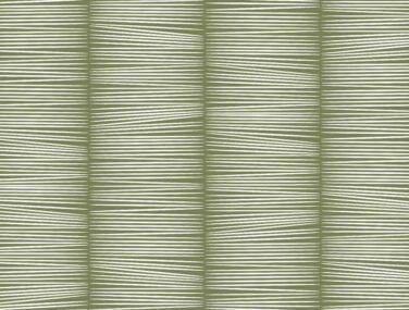 Reed 6452