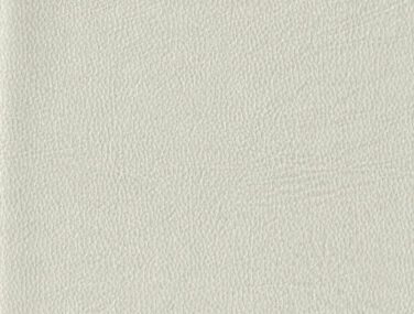 TAN 002 700x685 1