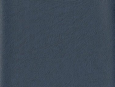 TAN 003 700x685 1