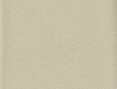 TAN 007 700x685 1