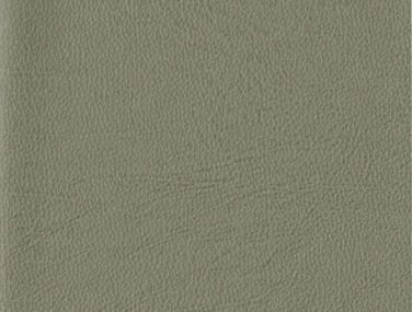 TAN 008 700x685 1