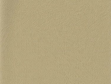 TAN 010 700x685 1