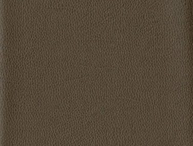 TAN 011 700x685 1