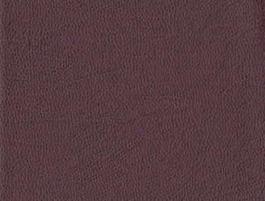 TAN 012 700x685 1
