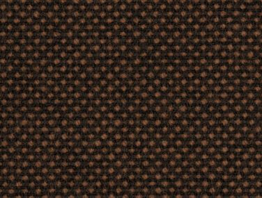 Focus Royal 61536