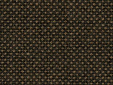 Focus Royal 61537