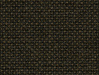 Focus Royal 61538