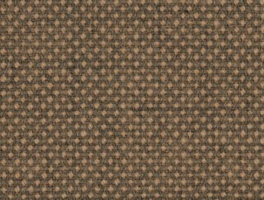 Focus Royal 61539