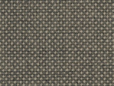 Focus Royal 61540