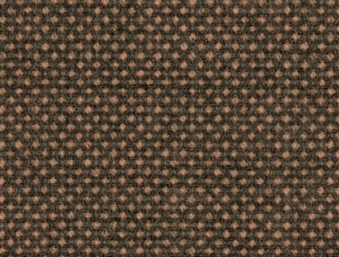 Focus Royal 61635