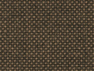 Focus Royal 61639