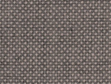 Focus Royal 64545