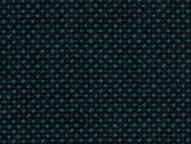 Focus Royal 66610