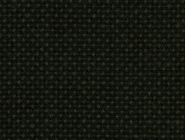 Focus Royal 68509