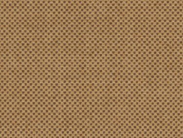 Umber 61279