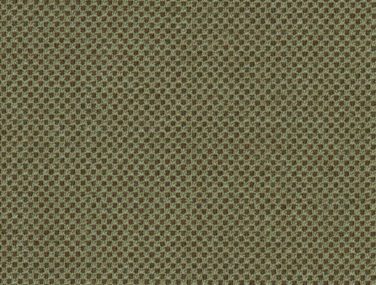Umber 68267