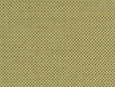 Umber 68282
