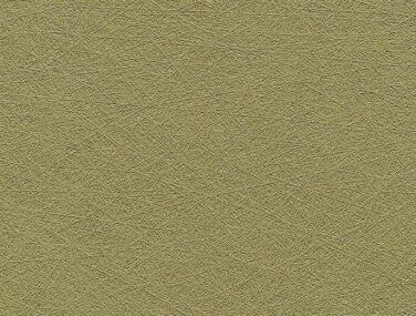 Evida Fiber