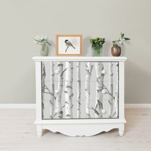 Mountain Birch Grey Peel & Stick Wallpaper